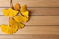 Three ging leaves hanging from a string on a wooden wall Royalty Free Stock Photo