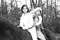 Three Girls on a Horse Royalty Free Stock Photo