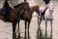 Three girls horseback riding across the river during sunset