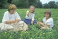 Three girls in a meadow of yellow flowers,Homestead, PA