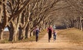 Three girls sisters running skipping down tree lined dirt road Royalty Free Stock Photo