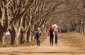 Three girls sisters running skipping down tree lined dirt road Royalty Free Stock Photo