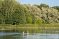 Three girls swim on sup boards on the Pirita river in summer