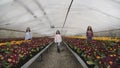 Three girls walks synchronously to camera among flower seedlings