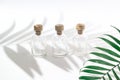 Three glass bottles with exotic plants Royalty Free Stock Photo
