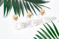 Three glass bottles with exotic plants Royalty Free Stock Photo