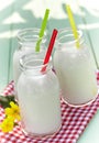 Three glass bottles of farm fresh milk with straws Royalty Free Stock Photo