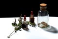 Three glass bottles with herbal extracts and dried herbs