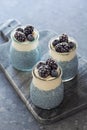 Vegan Blue Chia Puddings with Frozen Berries