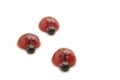 Three glass ladybugs Royalty Free Stock Photo