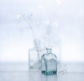 Three glass vases with thin twig dry plant  on the table on a light transparent background. Still life Royalty Free Stock Photo