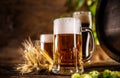 Three glasses with draft beer in front of a wooden barrel. Decoration of barley ears and fresh hops Royalty Free Stock Photo