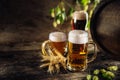 Three glasses with draft beer in front of a wooden barrel. Decoration of barley ears and fresh hops Royalty Free Stock Photo