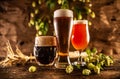 Three glasses with draft beer in front of a wooden barrel. Decoration of barley ears and fresh hops Royalty Free Stock Photo