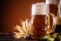 Three glasses with draft beer in front of a wooden barrel. Decoration of barley ears and fresh hops Royalty Free Stock Photo