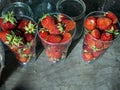 Three glasses with fresh red ripe strawberries Royalty Free Stock Photo