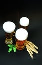 Three glasses of light beer with hops and wheat ears on a black background Royalty Free Stock Photo