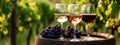 Three glasses of red, rose and white wine in the garden. Selective focus. Royalty Free Stock Photo