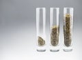 Three glasses with three kinds of hemp seeds