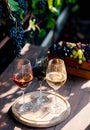 Three glasses with white, rose and red wine on a wooden barrel in the vineyard. Royalty Free Stock Photo