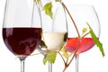 Three glasses of wine Royalty Free Stock Photo