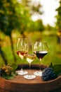Three glasses of wine on an wooden barrel Royalty Free Stock Photo