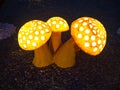 Three glossy mushrooms on the gravel in the evening, outdoor decoration