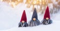 Three gnomes in fresh snow against bokeh background