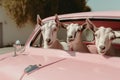 Three goats sitting in an automobile. AI Generated