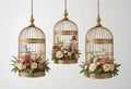 Three gold bird cages with flowers inside Royalty Free Stock Photo