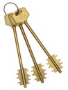 Three gold keys