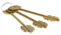 Three gold keys. Selective focus Royalty Free Stock Photo