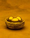 Gold Nest Eggs Superannuation Investments Royalty Free Stock Photo