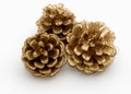 Three gold pine cones Royalty Free Stock Photo