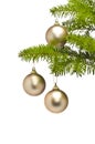 Three golden balls in Christmas tree