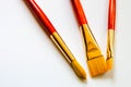 Three golden bristle paint brushes on white background with copy space Royalty Free Stock Photo