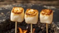 Three Golden-Browned Marshmallows On Sticks Hover Above A Blurred Fire Pit, With Glimpses Of Flames