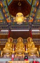 Three Golden Buddha. Royalty Free Stock Photo