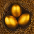 THREE GOLDEN EGGS IN BIRDS NEST Royalty Free Stock Photo