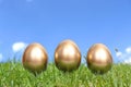 Three golden eggs in grass