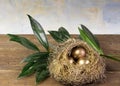 Three golden eggs in nest with cloud painted background