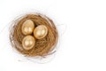 Three golden eggs on the nest with copy space Royalty Free Stock Photo
