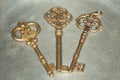 Three golden keys on iron plate Royalty Free Stock Photo