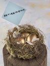 Three golden nest eggs Royalty Free Stock Photo