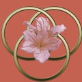 Three golden ring Celtic illustration with azalea flower on a pink background