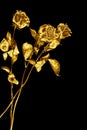 Three golden rose flowers on black background isolated closeup, two long stem gold roses, shiny yellow metal flower bouquet, decor Royalty Free Stock Photo