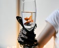 Goldfishes in a glass with water on the window day Royalty Free Stock Photo