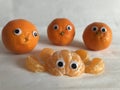 Creative food concept, googly eyed oranges Royalty Free Stock Photo
