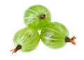 Three gooseberry fruits Royalty Free Stock Photo