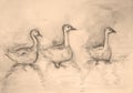 Three gooses in sepia tones.